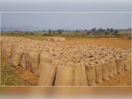 कबीरधाम में रेंगती धान खरीदी! 10 दिन बाद भी टोकन नहीं, भटक रहे किसान; लक्ष्य अभी बहुत दूर