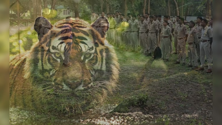 ​​​​​​​Chhattisgarh News: यहां शेर है... बारनवापारा में टाइगर की दस्तक से बढ़ी हलचल, वन विभाग अलर्ट मोड पर