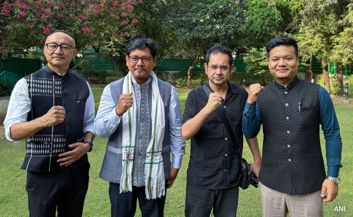 Could Reshape Indigenous Politics: Tipra Motha Chief On United Northeast Bloc