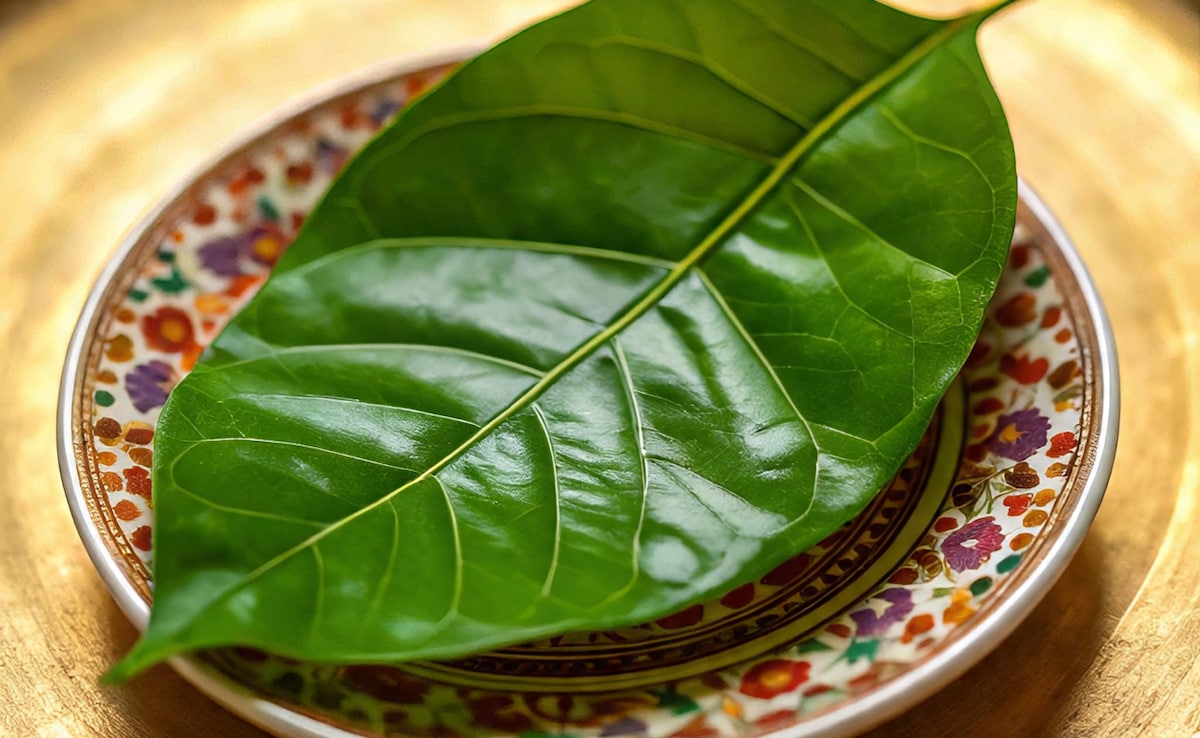 अगर में रोज एक पान का पत्ता खाऊं तो क्या होगा? खाली पेट पान का पत्ता खाने के फायदे