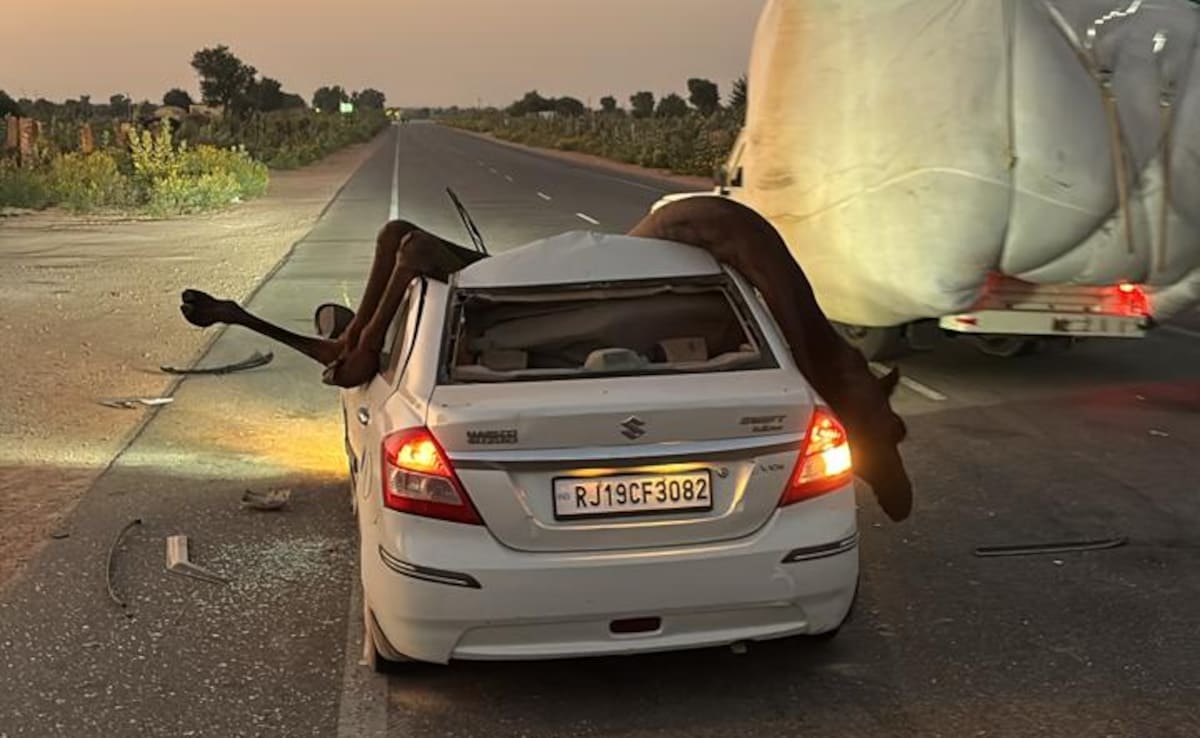 Latest and Breaking News on NDTV