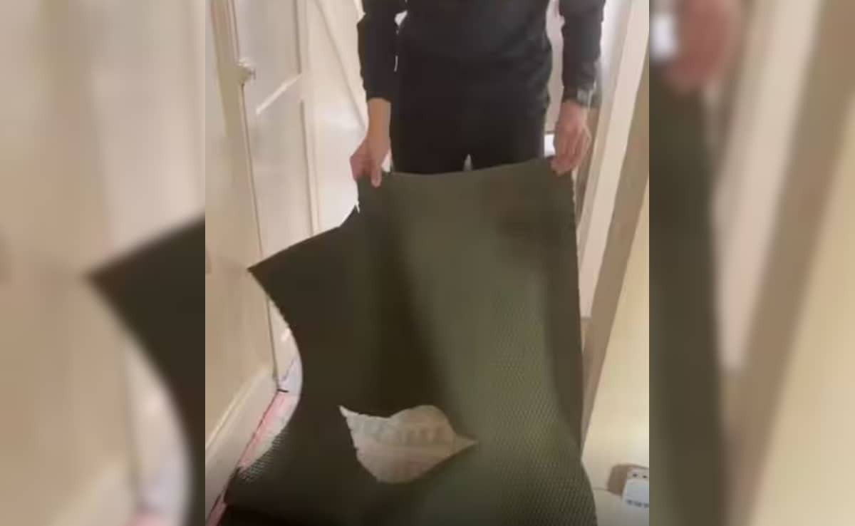 Latest and Breaking News on NDTV Latest and Breaking News on NDTV