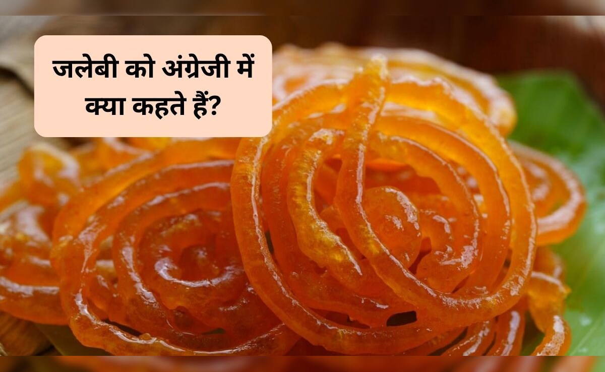 जलेबी को अंग्रेजी में क्या कहते हैं? 99% लोग नहीं जानते इसका जवाब, आप बताएं