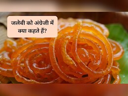 जलेबी को अंग्रेजी में क्या कहते हैं? 99% लोग नहीं जानते इसका जवाब, आप बताएं
