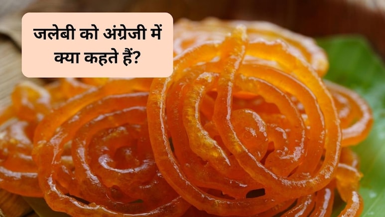 जलेबी को अंग्रेजी में क्या कहते हैं? 99% लोग नहीं जानते इसका जवाब, आप बताएं
