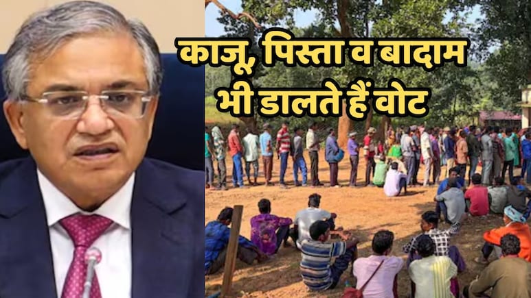 MP SIR News: यहां काजू, पिस्ता और बादाम भी डालते हैं वोट, SIR में सामने आए चौंकाने वाले नाम