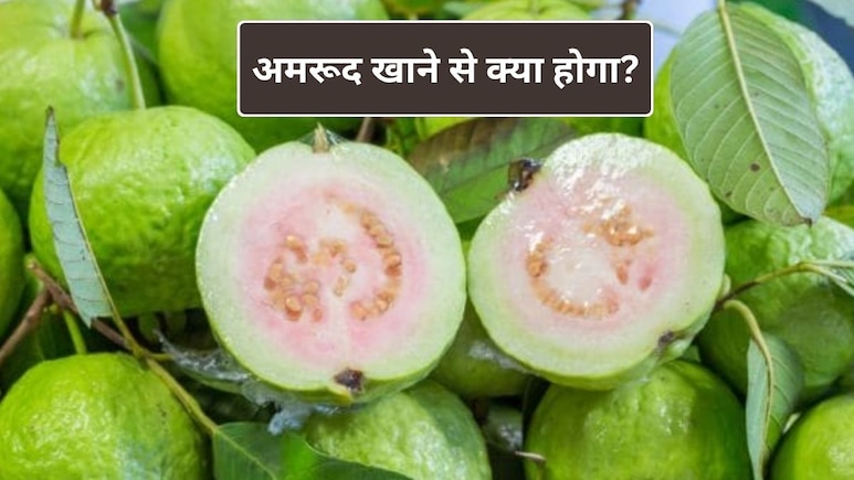 सर्दियों में अमरुद खाने से मिलते हैं ये 10 फायदे, जानें खाने का सही तरीका | सर्दियों में अमरूद क्यों खाना चाहिए?