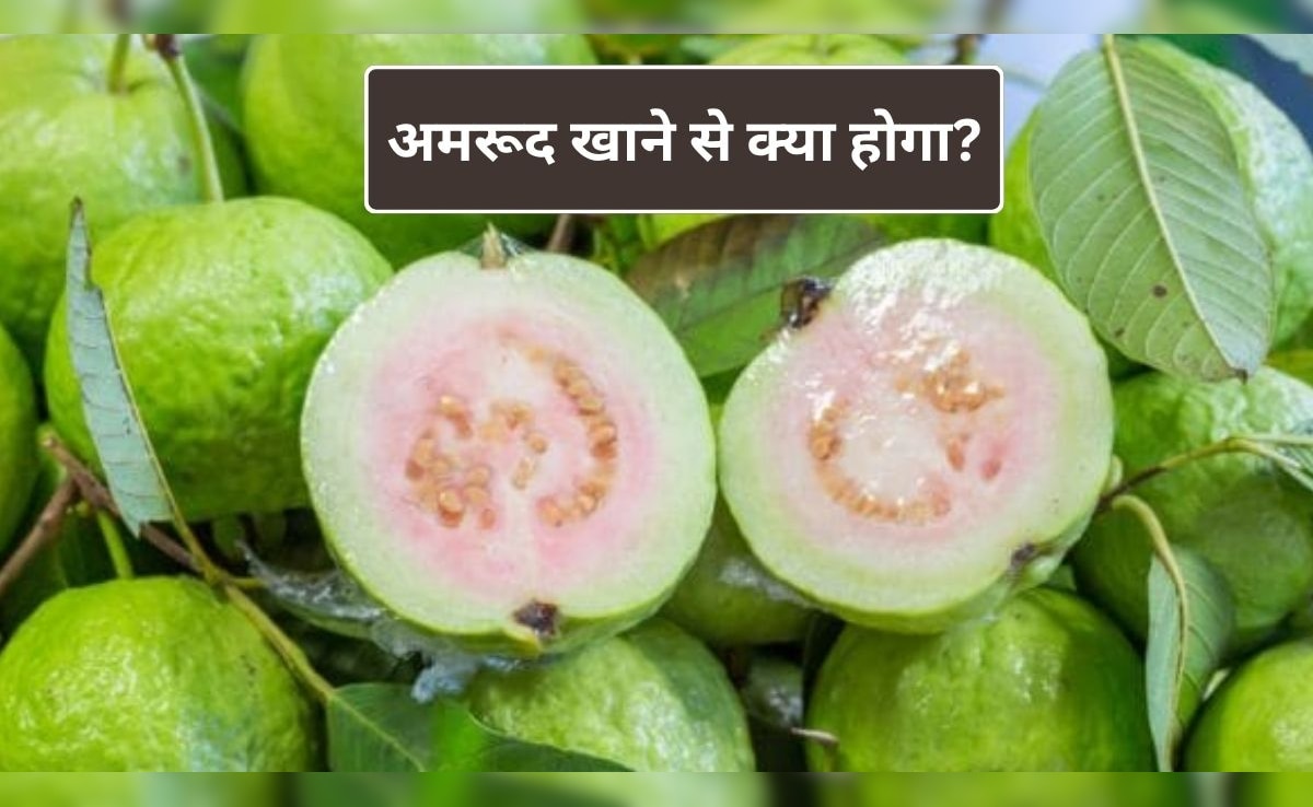 Guava Benefits: अमरूद को सुपरफ्रूट क्यों कहा जाता है? 1 अमरूद में सेब-संतरे से कई गुना ज्यादा न्यूट्रिशन, डॉक्टर ने बताए फायदे