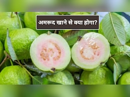 Guava Benefits: अमरूद को सुपरफ्रूट क्यों कहा जाता है? 1 अमरूद में सेब-संतरे से कई गुना ज्यादा न्यूट्रिशन, डॉक्टर ने बताए फायदे