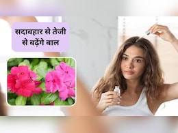 सदाबहार के फूलों का कमाल, रॉकेट की स्पीड से बढ़ेंगे बाल, बस इस तरह करें इस्तेमाल