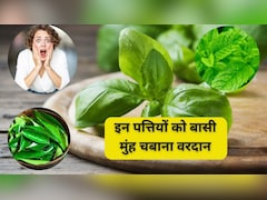 बासी मुंह चबा लें ये हरी पत्तियां, फायदे जान रह जाएंगे हैरान, सपने में भी नहीं सोचा होगा ऐसा