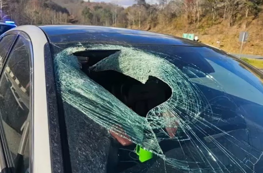 अजीबो-गरीब हादसा, हाईवे पर महिला ड्राइवर के साथ हुई हैरान कर देने वाली घटना