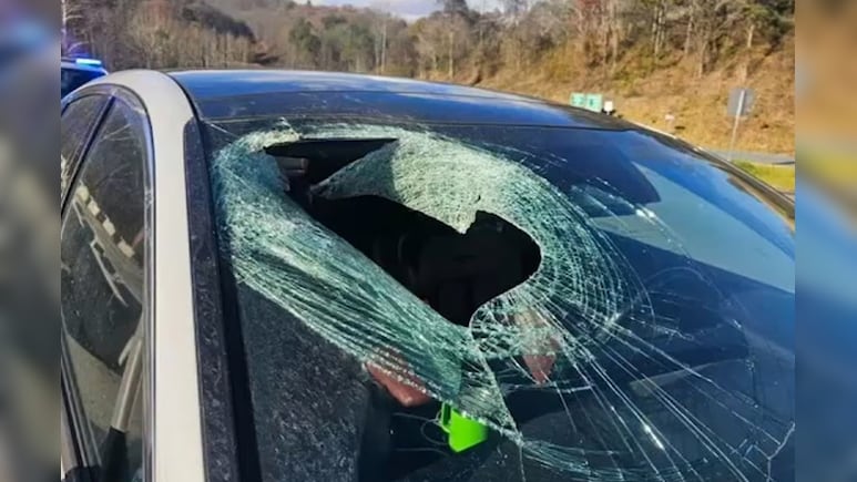 अजीबो-गरीब हादसा, हाईवे पर महिला ड्राइवर के साथ हुई हैरान कर देने वाली घटना