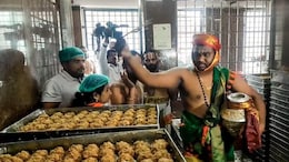 Probe Team Flags Irregularities In Tirupati Laddoo Ghee Tenders, Seeks Action