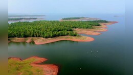 Omkareshwar Wildlife Sanctuary: खंडवा और देवास में बनेगा ओंकारेश्वर अभ्यारण्य; टाइगर, भालू, लेपर्ड &nbsp;जैसे वन्यजीव देख सकेंगे पर्यटक