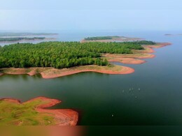 Omkareshwar Wildlife Sanctuary: खंडवा और देवास में बनेगा ओंकारेश्वर अभ्यारण्य; टाइगर, भालू, लेपर्ड  जैसे वन्यजीव देख सकेंगे पर्यटक