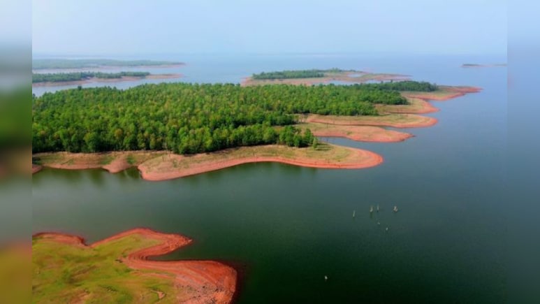 Omkareshwar Wildlife Sanctuary: खंडवा और देवास में बनेगा ओंकारेश्वर अभ्यारण्य; टाइगर, भालू, लेपर्ड जैसे वन्यजीव देख सकेंगे पर्यटक Omkareshwar Wildlife Sanctuary: खंडवा और देवास में बनेगा ओंकारेश्वर अभ्यारण्य; टाइगर, भालू, लेपर्ड जैसे वन्यजीव देख सकेंगे पर्यटक
