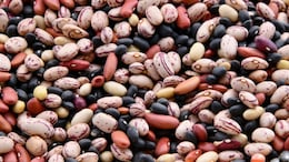 Lifestyle Coach Explains Why Beans Cause Bloating, Shares Tips To Fix It