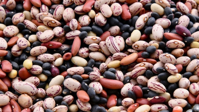 Lifestyle Coach Explains Why Beans Cause Bloating, Shares Tips To Fix It