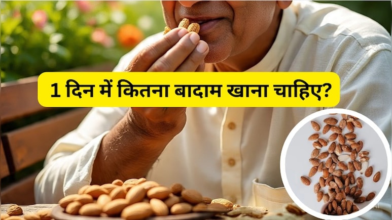 रोजाना बादाम खाने से क्या होता है, 1 दिन में कितना बादाम खाना चाहिए? जानिए सेहत पर क्या पड़ता है असर