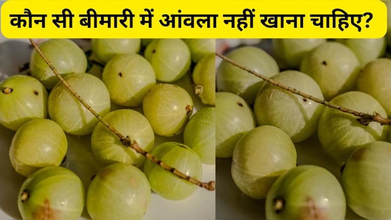 क्या किडनी को डेमेज कर देता है आंवला, जान‍िए कौन सी बीमारी में आंवला नहीं खाना चाहिए? | Amla Side Effects