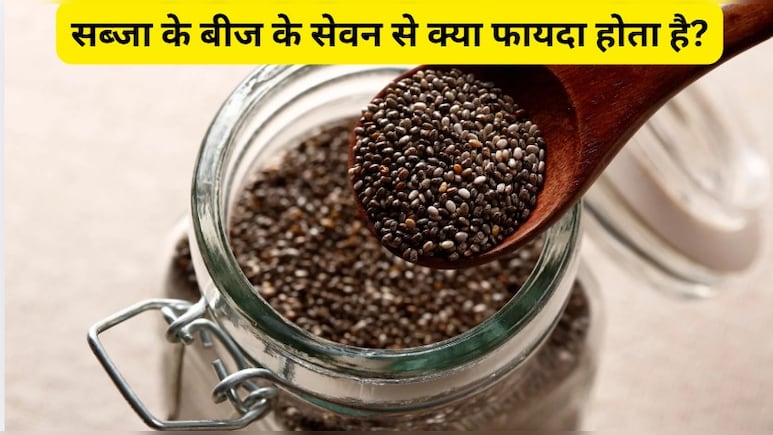 क्या सब्जा बीज गर्म होते हैं? चिया और सब्जा में से कौन सा बीज बेहतर है? जानिए यहां