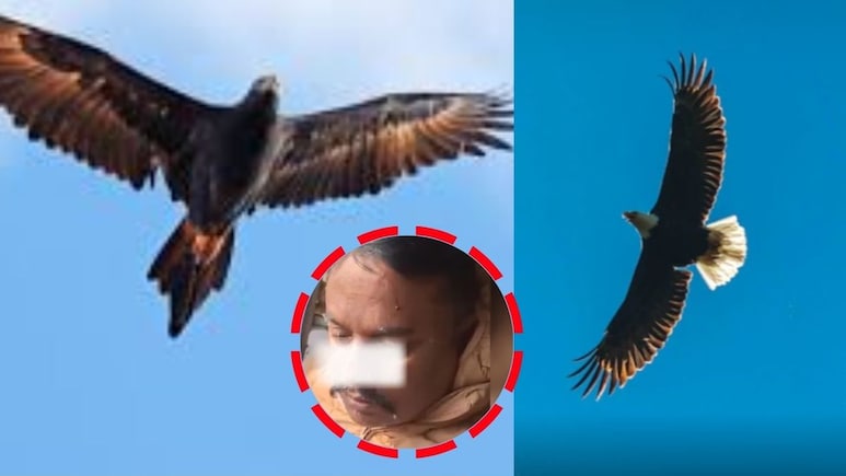 Viral Video : धावत्या ट्रेनला गरुडाची धडक! काच फोडून आत शिरला, ड्रायव्हर झाला जखमी, पुढे घडलं सर्वात भयंकर..