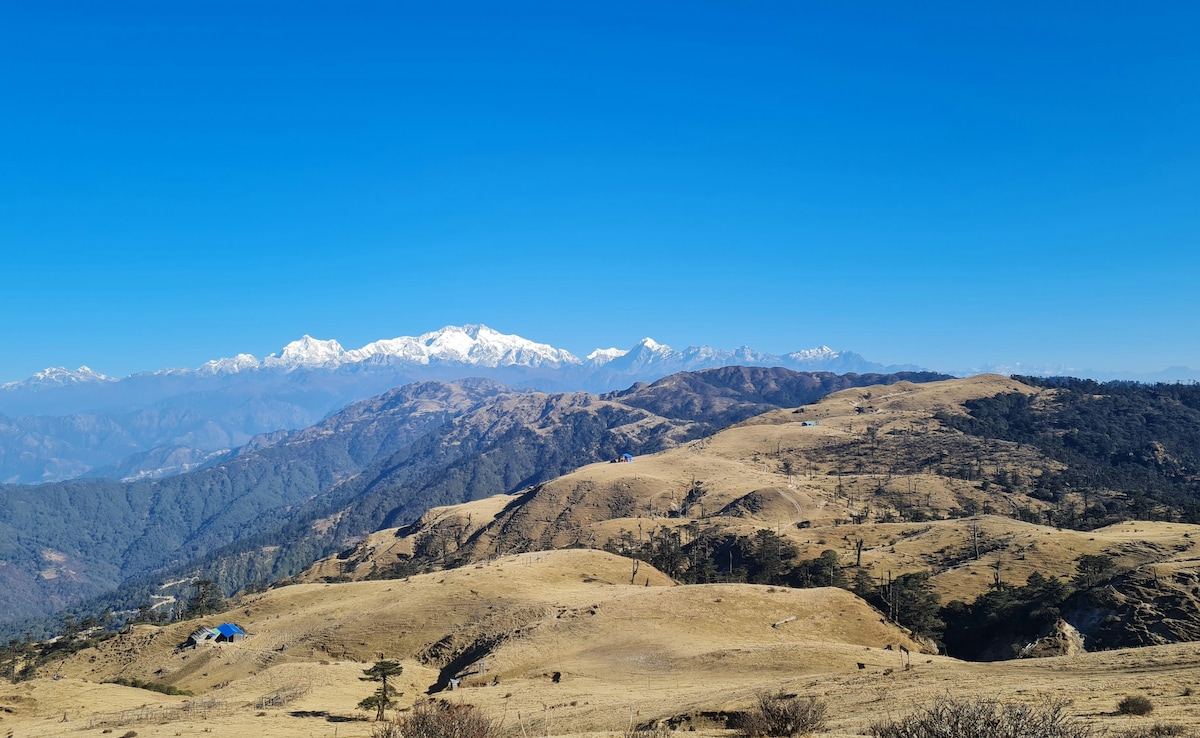 Latest and Breaking News on NDTV Latest and Breaking News on NDTV