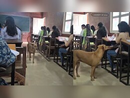 क्लास में लेक्चर के बीच 'डोगेश भाई' ने ली एंट्री, देख लड़कियों ने पास की स्माइल