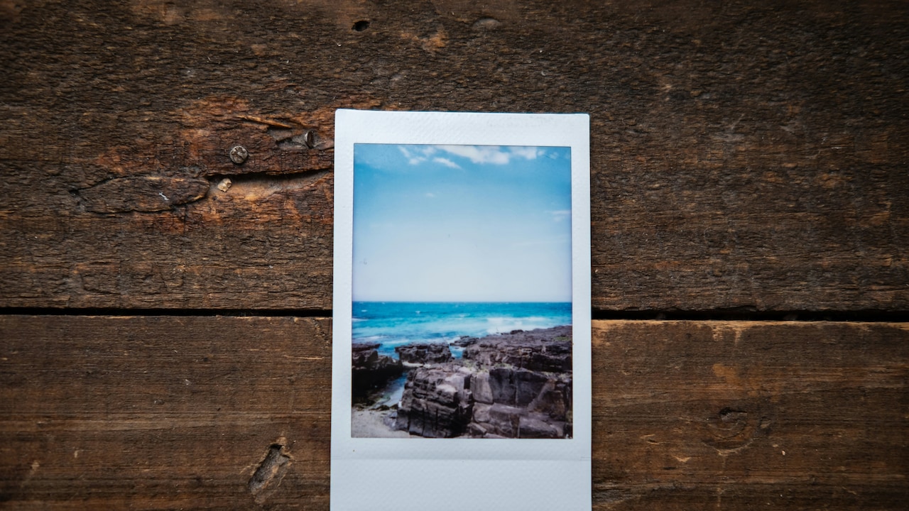 Gallery Walls Ideas: How To Curate A Frame Collection Gallery Walls Ideas: How To Curate A Frame Collection