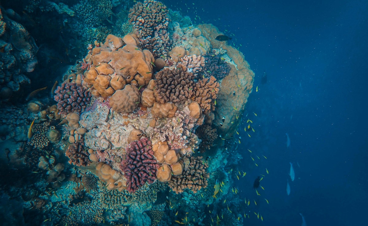 Latest and Breaking News on NDTV Latest and Breaking News on NDTV