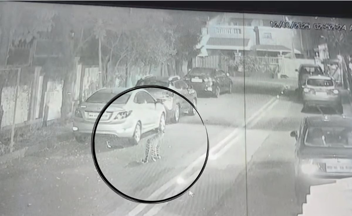 Latest and Breaking News on NDTV