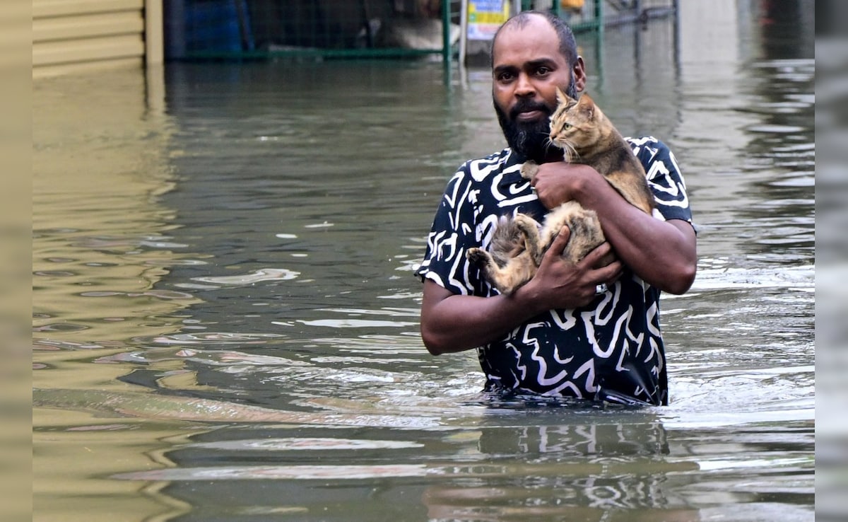 Latest and Breaking News on NDTV