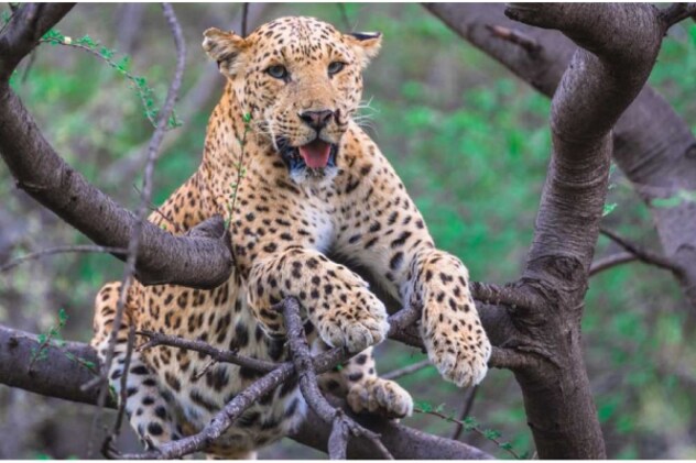 Latest and Breaking News on NDTV