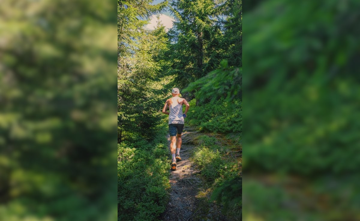 Latest and Breaking News on NDTV