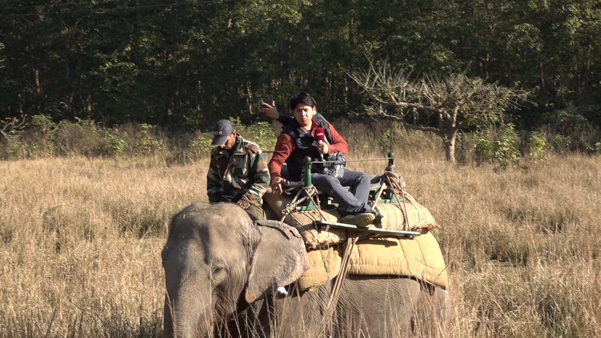 Latest and Breaking News on NDTV