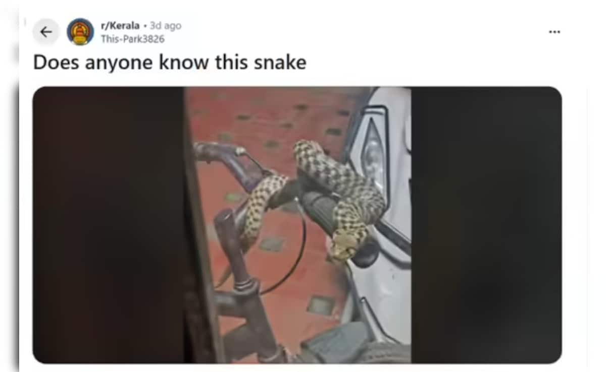 Latest and Breaking News on NDTV