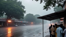 Rajasthan Weather: कड़कड़ाती सर्दी के बीच राजस्थान में बारिश की आशंका, मौसम विभाग ने जारी किया येलो अलर्ट&nbsp;