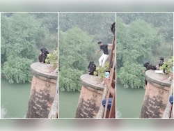 UP Man Leaps, Grabs Woman&#039;s Hand Just As She Jumps Off Bridge, Saves Her