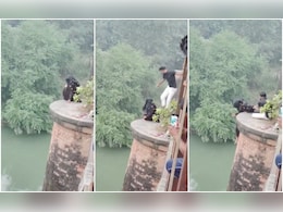 UP Man Leaps, Grabs Woman's Hand Just As She Jumps Off Bridge, Saves Her