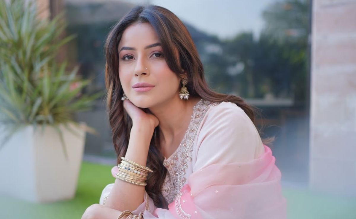 How Shehnaaz Gill's Sattvik Food Streak Led To Weight Loss