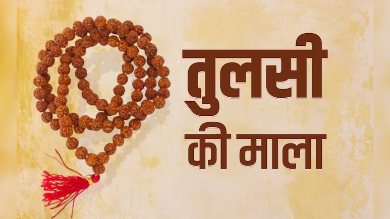 Tulsi Vivah 2025: तुलसी की कंठी माला पहनने वाले व्यक्ति को जरूर पता होने चाहिए ये 10 जरूरी नियम Tulsi Vivah 2025: तुलसी की कंठी माला पहनने वाले व्यक्ति को जरूर पता होने चाहिए ये 10 जरूरी नियम