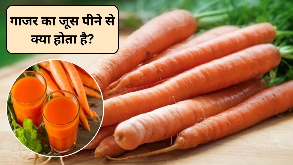 गाजर का जूस पीने से मोटे होते हैं क्या? रोज एक गिलास गाजर का जूस पीने से क्या होता है, जानिए क्या कहती है स्टडी