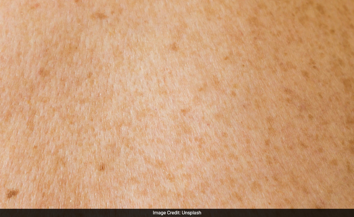 Latest and Breaking News on NDTV Latest and Breaking News on NDTV