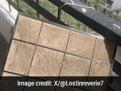 Gurugram Woman Shares 'Scary' Pics Of Air Purifier Filter, Sparks Debate On Pollution Crisis