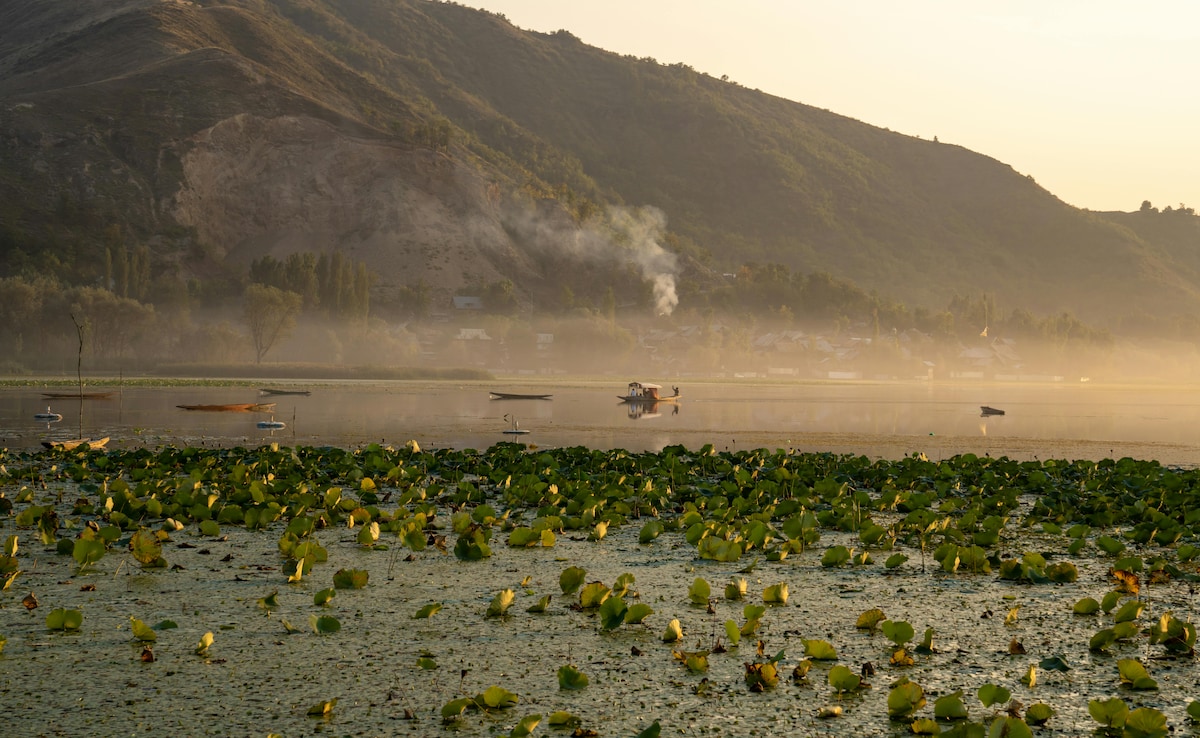 Latest and Breaking News on NDTV Latest and Breaking News on NDTV