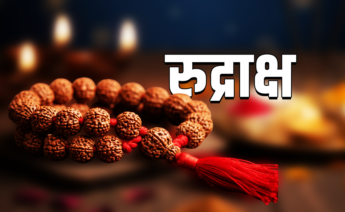 Rudraksha Remedies: रुद्राक्ष को खरीदने और पहनने से पहले आपको जरूर पता होनी चाहिए ये जरूरी बात