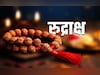 Rudraksha Remedies: रुद्राक्ष को खरीदने और पहनने से पहले आपको जरूर पता होनी चाहिए ये जरूरी बात