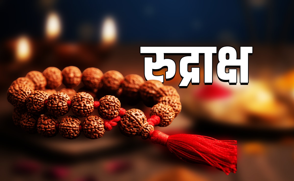 Rudraksha Remedies: रुद्राक्ष को खरीदने और पहनने से पहले आपको जरूर पता होनी चाहिए ये जरूरी बात