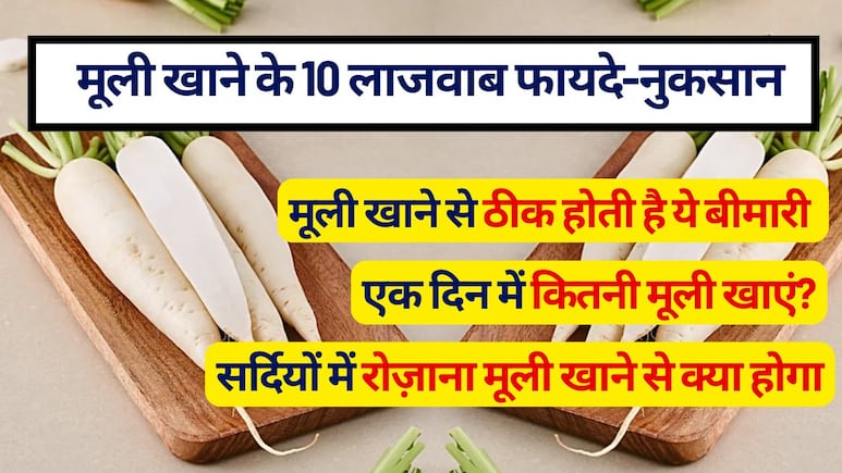 सर्दियों में रोज़ाना मूली खाने से क्‍या होगा, मूली खाने से कौन सी बीमारी ठीक होती है, मूली के फायदे नुकसान (Radish Benefits and Side Effects)